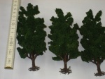 3 große Bäume