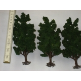 3 große Bäume