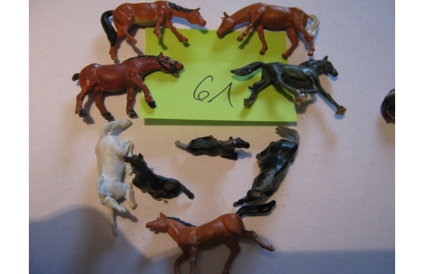 9 x Pferde