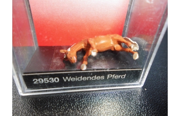 Weidendes Pferd