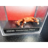 Weidendes Pferd