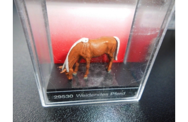 Weidendes Pferd