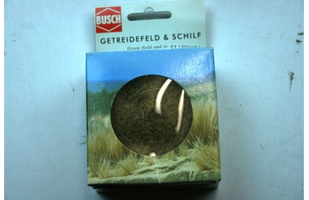Getreidefeld& Schilf